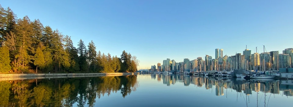 body of water near trees and buildings during daytime