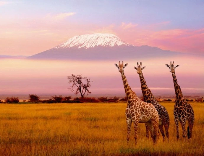 Kenia