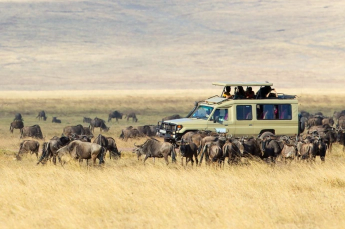 Safari por África